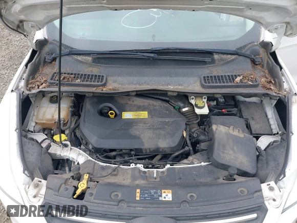 2014 Ford Escape SE with VIN 1FMCU9GX4EUB09341, listed as a IAAI auction lot 42398890 with 117,541 mi miles and . Bid and sale history available at DreamBid. Image 10.
