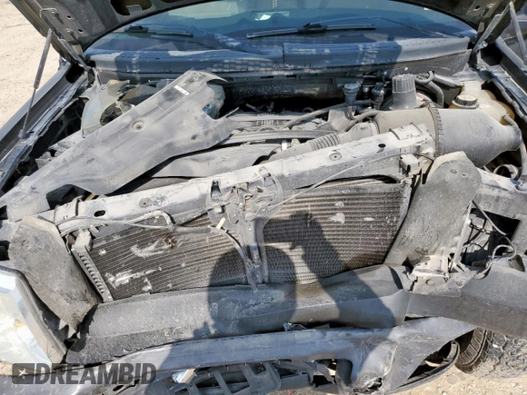 2007 Ford F-150 XL with VIN 1FTRF12297NA34932, listed as a Copart auction lot 60252625 with Not provided miles and Salvage title. Bid and sale history available at DreamBid. Image 11.