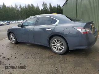 2013 Nissan Maxima SV with VIN 1N4AA5AP2DC831357, listed as a Copart auction lot 49507355 with 206,941 mi miles and Clean title. Bid and sale history available at DreamBid. Image 2.