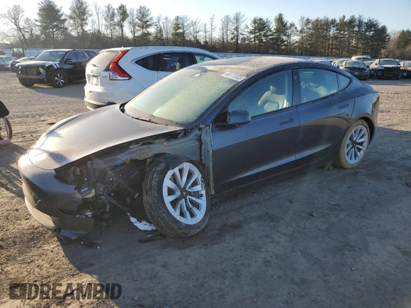 2023 Tesla Model 3 Long Range with VIN 5YJ3E1EB3PF703943, listed as a Copart auction lot 46411505 with Not Provided miles and Salvage Title. Bid and sale history available at DreamBid. Image 1.