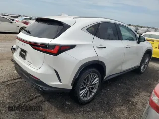 2022 Lexus NX with VIN JTJHKCEZ1N5002627, listed as a Copart auction lot 74983514 with 19,228 mi miles and Non Repairable. Bid and sale history available at carsss.com. Image 3.