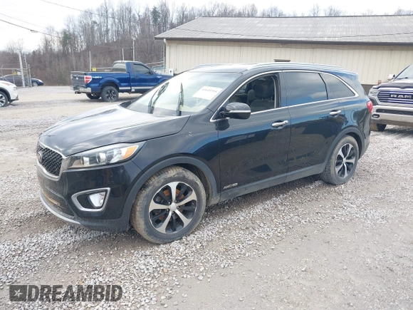 2017 Kia Sorento EX with VIN 5XYPHDA54HG323420, listed as a IAAI auction lot 41649355 with Not Provided miles and . Bid and sale history available at DreamBid. Image 16.
