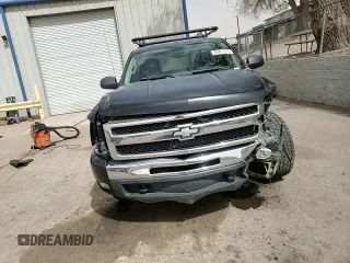 2011 Chevrolet Silverado 1500 LT with VIN 1GCRKSE31BZ207365, listed as a Copart auction lot 49411315 with 174,204 mi miles and Salvage Title. Bid and sale history available at carsss.com. Image 11.