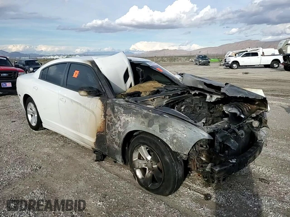 2012 Dodge Charger SE with VIN 2C3CDXBG2CH298060, listed as a Copart auction lot 44025974 with Not Provided miles and Salvage Title. Bid and sale history available at DreamBid. Image 11.