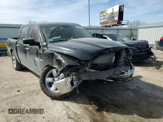 2014 Ram 1500 Lone Star with VIN 1C6RR6LT2ES332689, listed as a Copart auction lot 49136215 with 259,208 mi miles and Salvage title. Bid and sale history available at DreamBid. Image 10.
