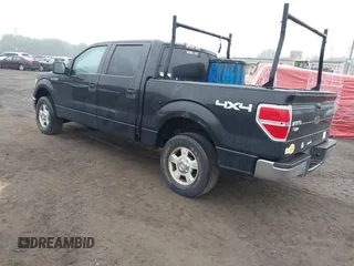 2010 Ford F-150 XL with VIN 1FTEW1E84AFA54957, listed as a IAAI auction lot 42456388 with 197,370 mi miles and . Bid and sale history available at DreamBid. Image 3.