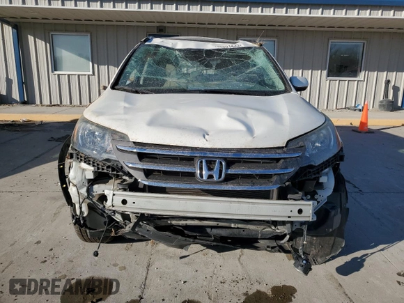 2014 Honda CR-V EX-L with VIN 5J6RM4H76EL102083, listed as a Copart auction lot 48851435 with 0 mi miles and Salvage Title. Bid and sale history available at carsss.com. Image 5.