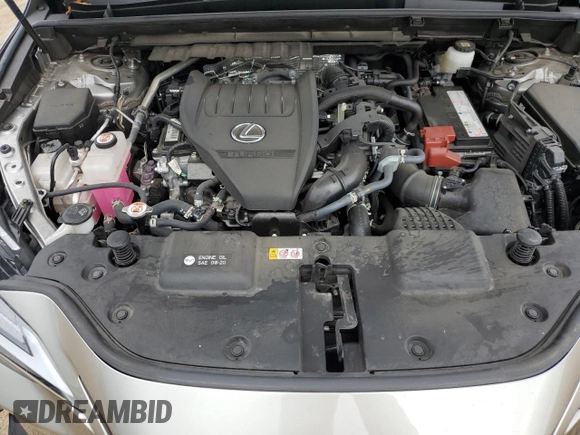 2022 Lexus NX with VIN JTJHGCEZ6N2007244, listed as a Copart auction lot 64692144 with 21,030 mi miles and Salvage Title. Bid and sale history available at carsss.com. Image 13.