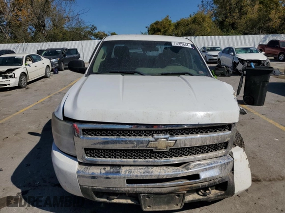 2011 Chevrolet Silverado 1500 Work Truck with VIN 1GCRKPE34BZ162063, listed as a Copart auction lot 75502664 with 257,375 mi miles and Salvage Title. Bid and sale history available at DreamBid. Image 5.