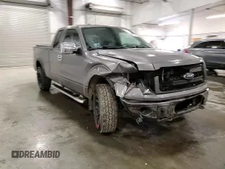 2013 Ford F-150 XL with VIN 1FTEX1EM6DFD11213, listed as a Copart auction lot 61350245 with 197,696 mi miles and Salvage title. Bid and sale history available at DreamBid. Image 13.