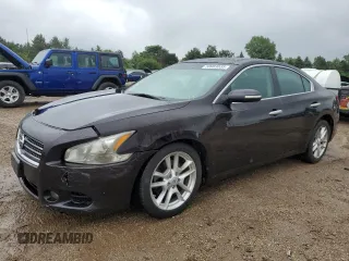 2010 Nissan Maxima SV с VIN 1N4AA5AP6AC805386, выставлен на аукционе Copart как лот 58983035 с пробегом 210 062 миль миль и Списание • Salvage title. История ставок и продаж доступна на DreamBid. Изображение 1.