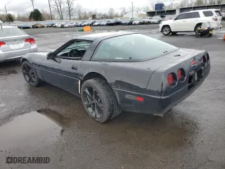 1993 Chevrolet Corvette with VIN 1G1YY23P3P5100843, listed as a Copart auction lot 48970785 with 139,851 mi miles and Salvage Title. Bid and sale history available at carsss.com. Image 2.