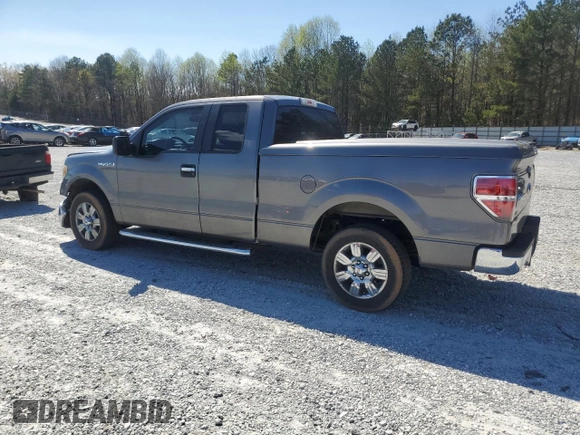 2010 Ford F-150 XL with VIN 1FTEX1C85AFD61411, listed as a Copart auction lot 50500925 with 164,735 mi miles and Salvage Title. Bid and sale history available at carsss.com. Image 2.