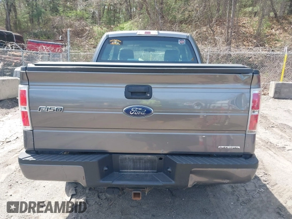 2013 Ford F-150 XL with VIN 1FTFX1EFXDFD87216, listed as a IAAI auction lot 42070988 with 153,676 mi miles. Bid and sale history available at carsss.com. Image 16.