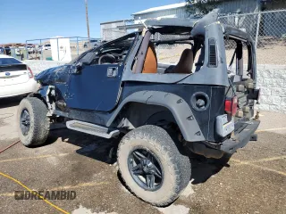 2002 Jeep Wrangler X with VIN 1J4FA39S12P748127, listed as a Copart auction lot 66538073 with Not Provided miles and Non Repairable. Bid and sale history available at carsss.com. Image 2.