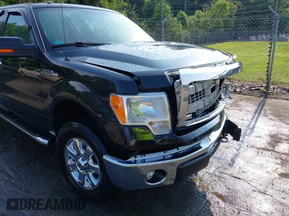 2014 Ford F-150 XL с VIN 1FTEX1EM2EFA22962, выставлен на аукционе IAAI как лот 42403204 с пробегом 118 356 миль миль и . История ставок и продаж доступна на DreamBid. Изображение 18.