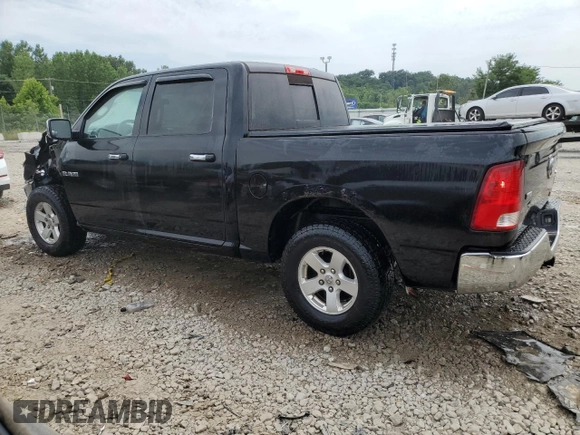 2010 Dodge 1500 SLT with VIN 1D7RV1CP1AS174131, listed as a Copart auction lot 60446704 with 164,653 mi miles and Non Repairable. Bid and sale history available at DreamBid. Image 2.
