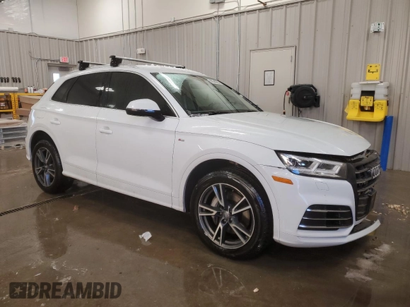 2020 Audi Q5 Premium Plus with VIN WA1E2AFY2L2080987, listed as a Copart auction lot 89344955 with 55,463 mi miles and Salvage title. Bid and sale history available at DreamBid. Image 4.
