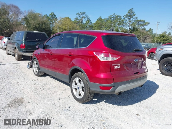 2014 Ford Escape SE with VIN 1FMCU0GX7EUA34887, listed as a IAAI auction lot 41708754 with 156,656 mi miles. Bid and sale history available at carsss.com. Image 3.