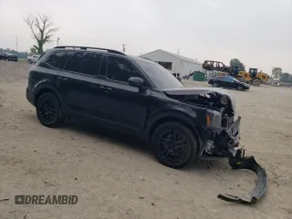 2025 Kia Telluride SX-Prestige X-Line with VIN 5XYP5DGC9SG593927, listed as a Copart auction lot 60435035 with 7,925 mi miles and Salvage title. Bid and sale history available at DreamBid. Image 4.