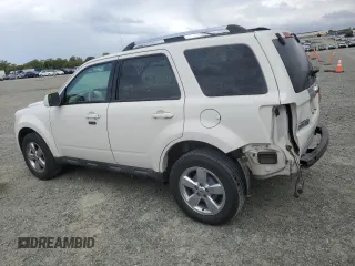2010 Ford Escape Limited with VIN 1FMCU0E74AKC89196, listed as a Copart auction lot 50990585 with 144,830 mi miles and Salvage title. Bid and sale history available at DreamBid. Image 2.