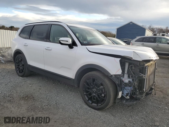 2022 Kia Telluride EX with VIN 5XYP3DHC3NG252841, listed as a Copart auction lot 81147994 with 50,481 mi miles and Salvage Title. Bid and sale history available at carsss.com. Image 4.