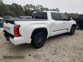 2022 Toyota Tundra 2WD Platinum with VIN 5TFNA5AB6NX003726, listed as a Copart auction lot 69110202 with 5,665 mi miles. Bid and sale history available at carsss.com. Image 3.