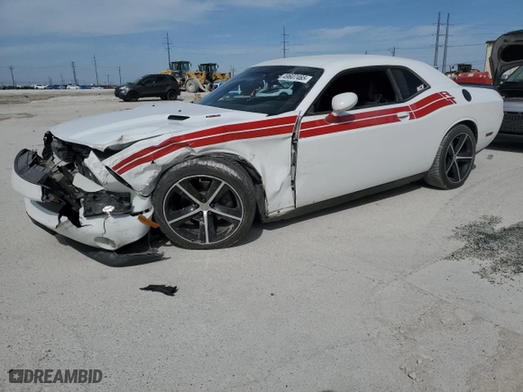 2013 Dodge Challenger R/T with VIN 2C3CDYBT5DH511751, listed as a Copart auction lot 49607465 with 0 mi miles and Salvage Title. Bid and sale history available at carsss.com. Image 1.