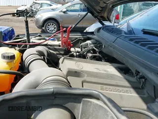 2017 Ford F-150 XL z VIN 1FTFW1EG6HFC01141, wystawiony jako IAAI lot #41860404 z przebiegiem 109 399 mil mil oraz . Historia ofert i sprzedaży dostępna na DreamBid. Obrazek 20.