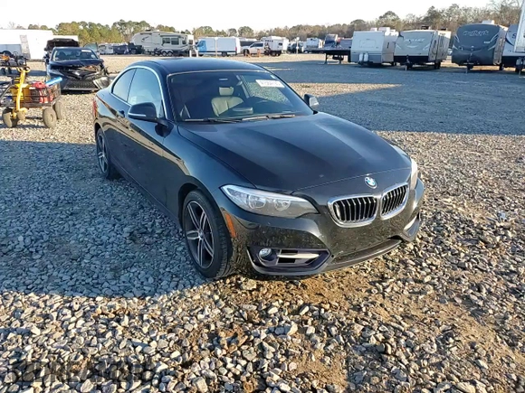 2017 BMW 2 Series 230i with VIN WBA2F9C30H7A40308, listed as a Copart auction lot 41564795 with 53,403 mi miles and Salvage title. Bid and sale history available at DreamBid. Image 11.