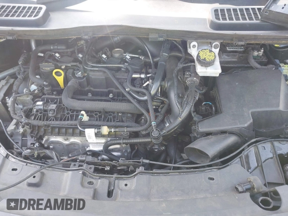 2019 Ford Escape SE with VIN 1FMCU0GD4KUB29621, listed as a IAAI auction lot 42062095 with 137,807 mi miles. Bid and sale history available at carsss.com. Image 10.