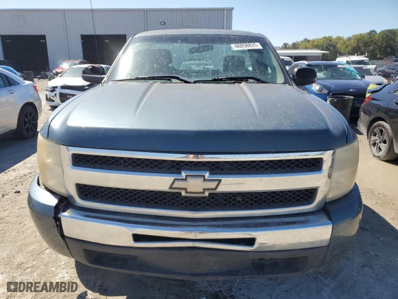 2011 Chevrolet Silverado 1500 Work Truck with VIN 1GCNCPEX2BZ182231, listed as a Copart auction lot 48858825 with 0 mi miles and Salvage Title. Bid and sale history available at carsss.com. Image 5.