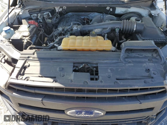 2018 Ford F-150 XL with VIN 1FTMF1CB2JKC31099, listed as a Copart auction lot 52078995 with 219,569 mi miles and Salvage title. Bid and sale history available at DreamBid. Image 13.