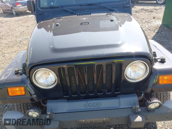 2003 Jeep Wrangler Sahara with VIN 1J4FA59S23P328003, listed as a IAAI auction lot 42833276 with 271,741 mi miles and . Bid and sale history available at DreamBid. Image 6.
