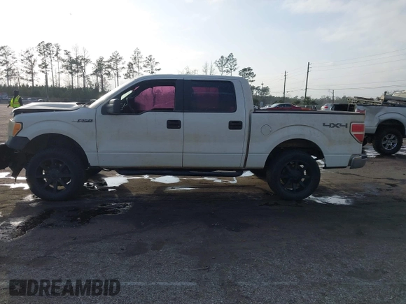 2013 Ford F-150 XL with VIN 1FTFW1EF1DKD13578, listed as a IAAI auction lot 41590263 with 192,230 mi miles and . Bid and sale history available at DreamBid. Image 13.