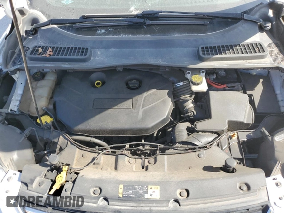 2016 Ford Escape Titanium with VIN 1FMCU0J99GUC34442, listed as a Copart auction lot 48917865 with 175,967 mi miles and Salvage Title. Bid and sale history available at carsss.com. Image 13.