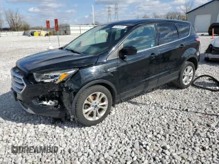 2017 Ford Escape SE with VIN 1FMCU9GDXHUC69976, listed as a Copart auction lot 53529355 with 127,074 mi miles and Salvage Title. Bid and sale history available at DreamBid. Image 1.