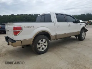 2011 Ford F-150 XL with VIN 1FTFW1EF3BFA24417, listed as a Copart auction lot 58860725 with 204,789 mi miles and Salvage title. Bid and sale history available at DreamBid. Image 3.