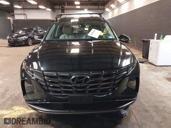 2024 Hyundai Tucson Limited with VIN 5NMJECDE5RH303897, listed as a IAAI auction lot 41955684 with 17,279 mi miles. Bid and sale history available at carsss.com. Image 13.