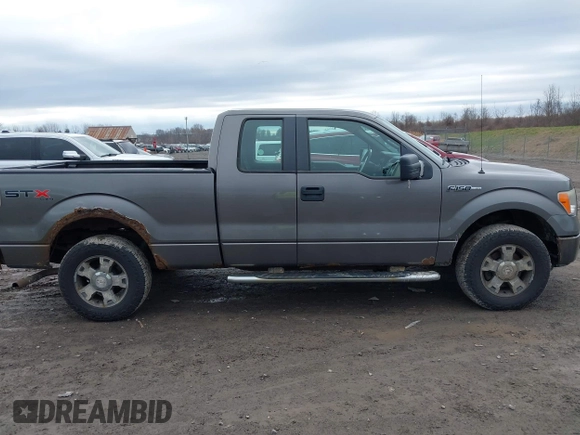 2010 Ford F-150 XL with VIN 1FTEX1E82AFA32002, listed as a IAAI auction lot 41874430 with 264,658 mi miles. Bid and sale history available at carsss.com. Image 13.