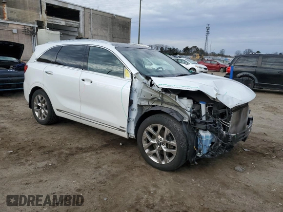 2019 Kia Sorento SX Limited with VIN 5XYPKDA55KG534456, listed as a Copart auction lot 46461045 with 65,259 mi miles and Salvage Title. Bid and sale history available at carsss.com. Image 4.