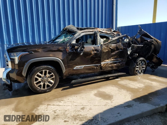 2022 Toyota Tundra 2WD 1794 Edition with VIN 5TFMA5AB0NX004561, listed as a Copart auction lot 49262374 with 49,660 mi miles and Non Repairable. Bid and sale history available at carsss.com. Image 1.