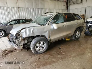 2006 Hyundai Santa Fe GLS with VIN KM8SC73E06U073883, listed as a Copart auction lot 51303995 with 0 mi miles and Non Repairable. Bid and sale history available at carsss.com. Image 1.