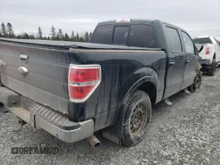2013 Ford F-150 with VIN 2ATE01102DKD97632, listed as a Copart auction lot 49815235 with Not provided miles and Salvage title. Bid and sale history available at DreamBid. Image 3.