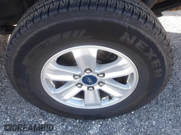 2020 Ford F-150 XL with VIN 1FTFW1E56LFA99881, listed as a IAAI auction lot 42677920 with 213,595 mi miles and . Bid and sale history available at DreamBid. Image 6.