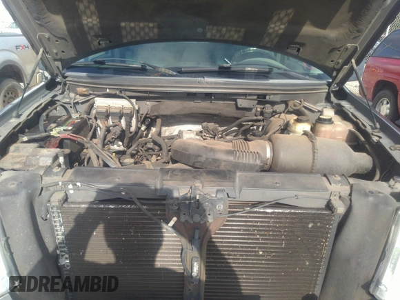2008 Ford F-150 STX with VIN 1FTRX12W28FB92542, listed as a IAAI auction lot 42368647 with 299,839 mi miles and . Bid and sale history available at DreamBid. Image 10.
