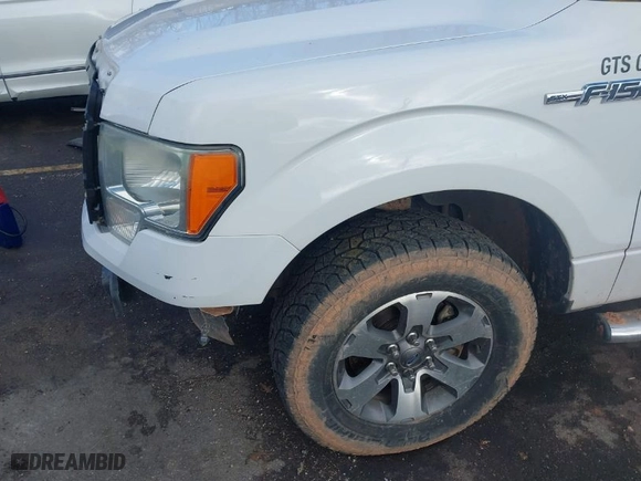 2014 Ford F-150 XL with VIN 1FTEX1CM5EFC95493, listed as a IAAI auction lot 41180683 with 150,260 mi miles. Bid and sale history available at carsss.com. Image 11.