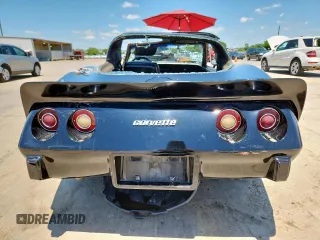 1979 Chevrolet Corvette with VIN 1Z8749S451738, listed as a Copart auction lot 59313215 with 29,000 mi miles and Salvage title. Bid and sale history available at DreamBid. Image 6.
