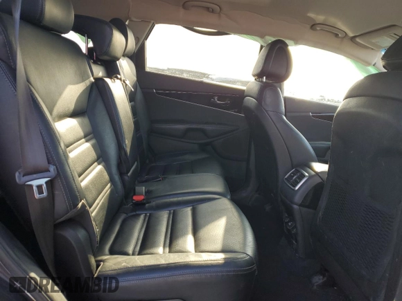 2016 Kia Sorento EX with VIN 5XYPHDA55GG164227, listed as a Copart auction lot 51528065 with 175,168 mi miles and Clean Title. Bid and sale history available at carsss.com. Image 11.