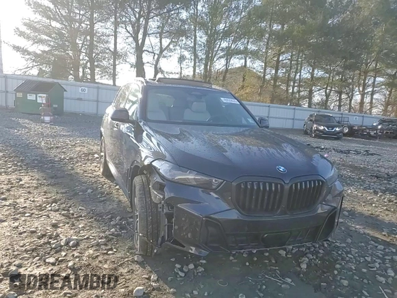 2025 BMW X5 xDrive40i with VIN 5UX23EU04S9W53256, listed as a Copart auction lot 46929635 with 0 mi miles and Salvage Title. Bid and sale history available at carsss.com. Image 12.
